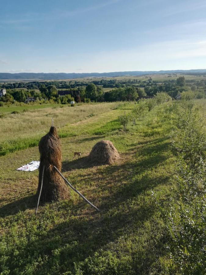 Pensiunea Agroturistica Casa Sirca Boghiş Eksteriør bilde