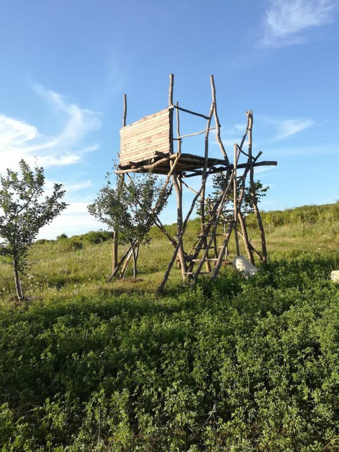 Pensiunea Agroturistica Casa Sirca Boghiş Eksteriør bilde